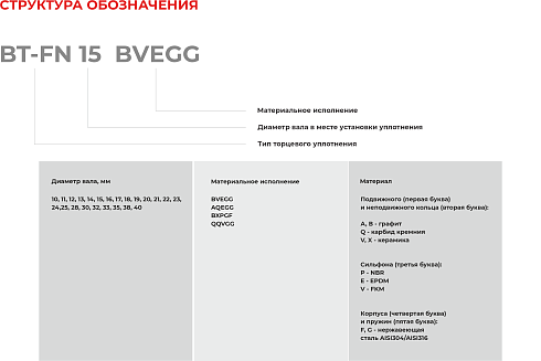 Торцевое уплотнение BT-FN 38 AQEGG в Тюмени фото